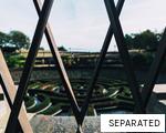 SEPARATED anagram