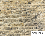 SEQUELA anagram