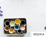 SEQUELA anagram