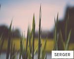 SERGER anagram