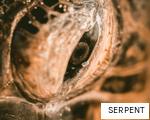 SERPENT anagram