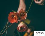 SETAS anagram