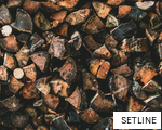 SETLINE anagram