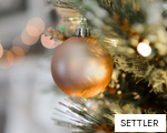 SETTLER anagram