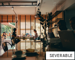 SEVERABLE anagram