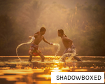 SHADOWBOXED anagram