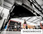 SHADOWBOXED anagram
