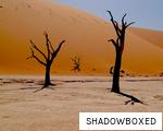 SHADOWBOXED anagram