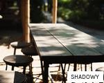 SHADOWY anagram