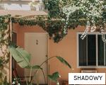 SHADOWY anagram