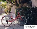 SHADOWY anagram