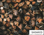 SHEARED anagram