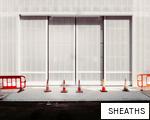 SHEATHS anagram