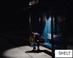 SHELT anagram