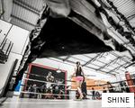 SHINE anagram