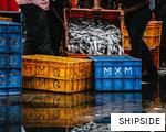 SHIPSIDE anagram