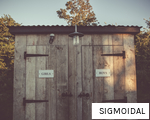 SIGMOIDAL anagram