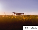 SIGMOIDAL anagram