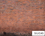 SILICAS anagram
