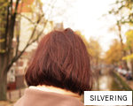 SILVERING anagram