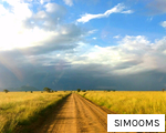 SIMOOMS anagram