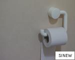 SINEW anagram