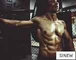 SINEW anagram