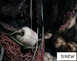 SINEW anagram