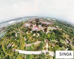 SINGA anagram