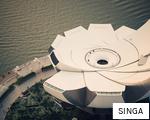 SINGA anagram