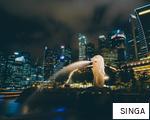 SINGA anagram