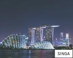 SINGA anagram