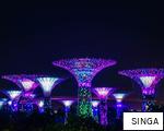 SINGA anagram