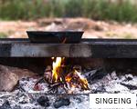 SINGEING anagram