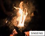 SINGEING anagram
