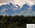 SITKA anagram