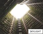 SKYLIGHT anagram