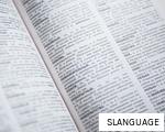 SLANGUAGE anagram