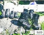 SLED anagram