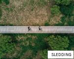 SLEDDING anagram