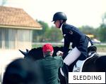 SLEDDING anagram