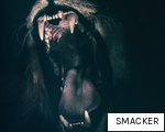 SMACKER anagram