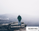SOARING anagram