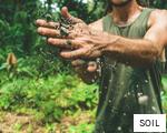 SOIL anagram