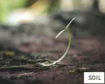 SOIL anagram