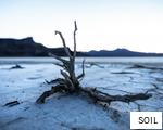 SOIL anagram