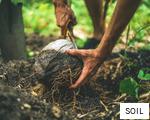 SOIL anagram