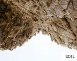 SOIL anagram