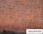 SOLIDIFIED anagram