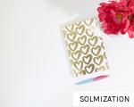 SOLMIZATION anagram